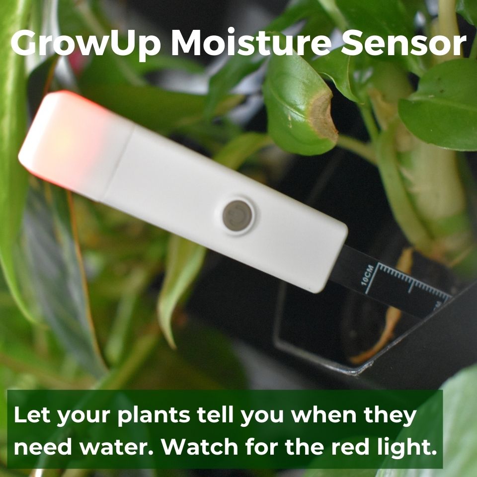 Moisture Sensor